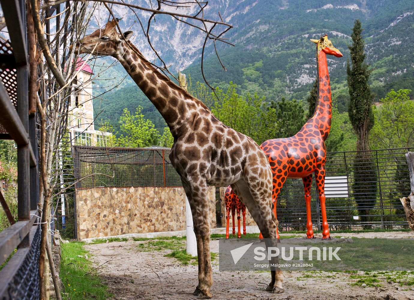 Zoo "Fairytale" opens in Crimea