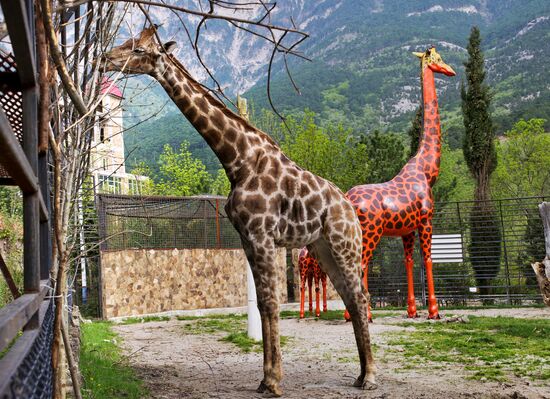Zoo "Fairytale" opens in Crimea