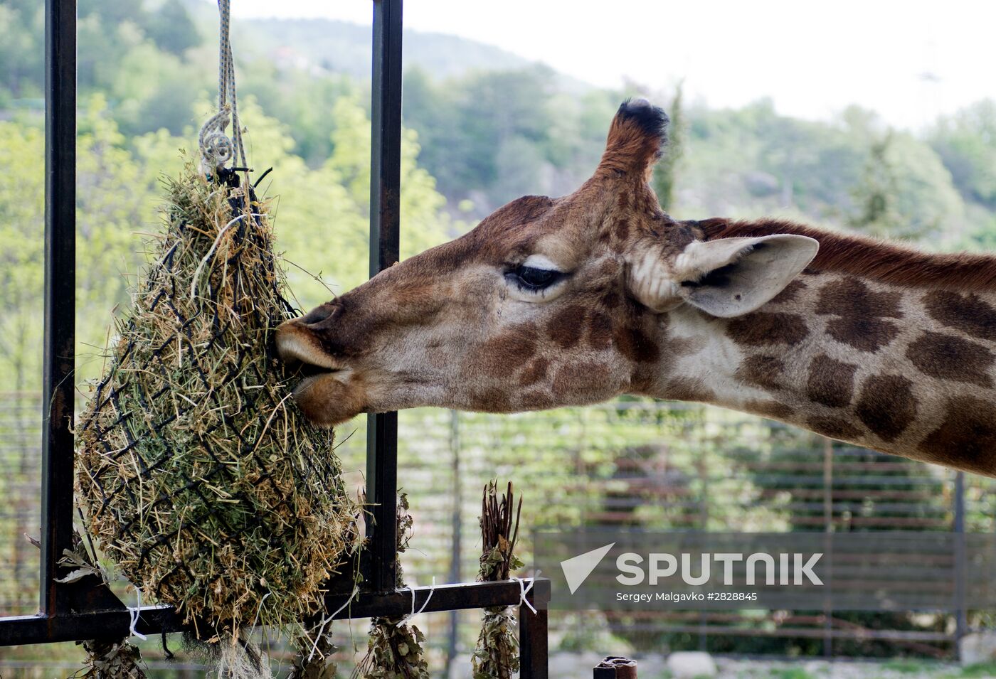 Zoo "Fairytale" opens in Crimea