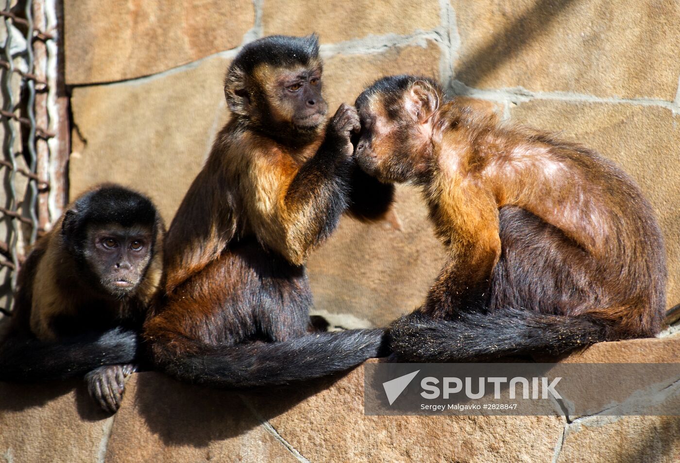Zoo "Fairytale" opens in Crimea