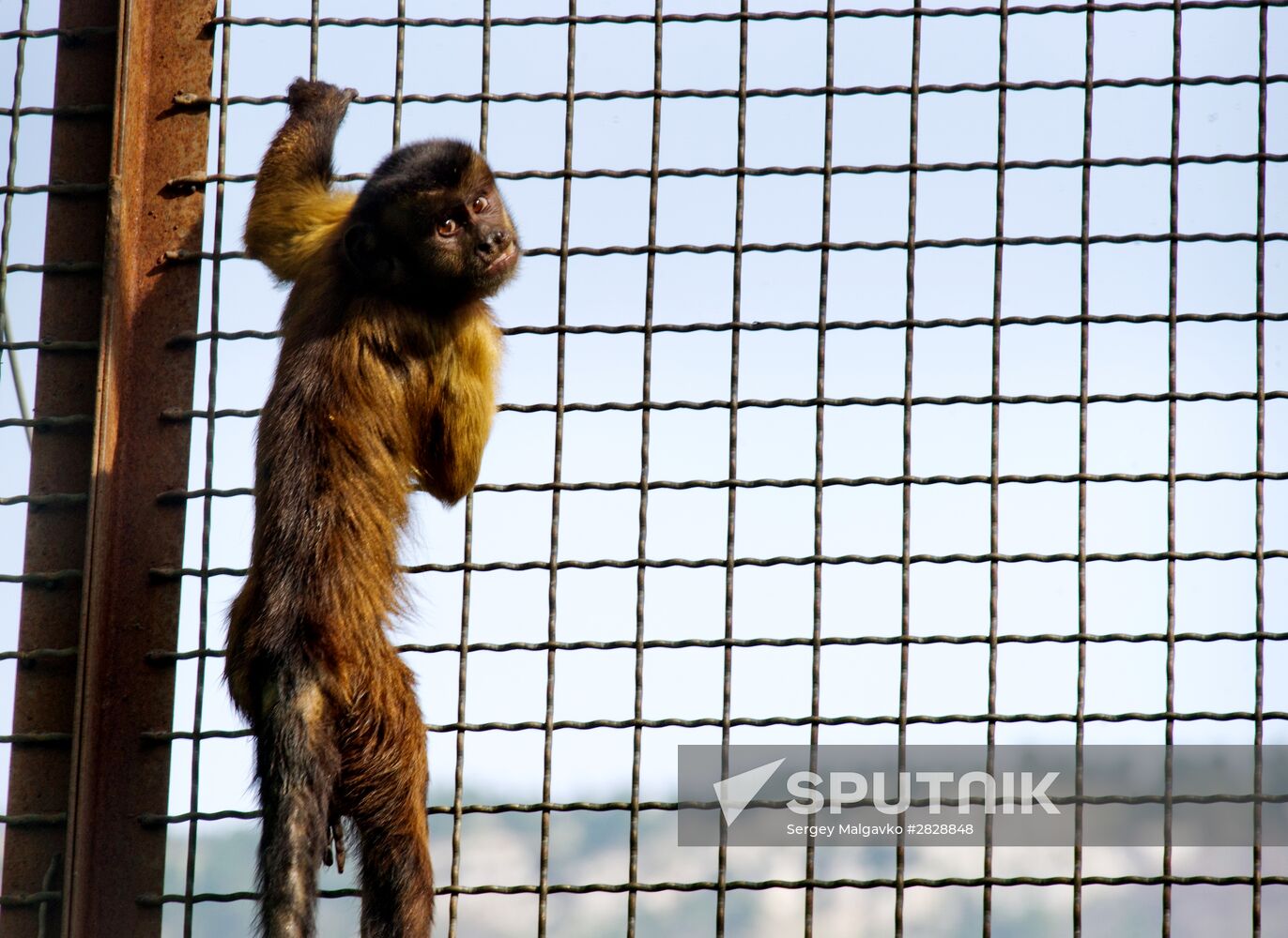 Zoo "Fairytale" opens in Crimea