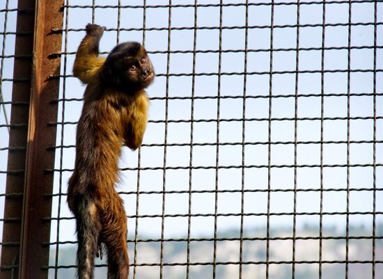 Zoo "Fairytale" opens in Crimea