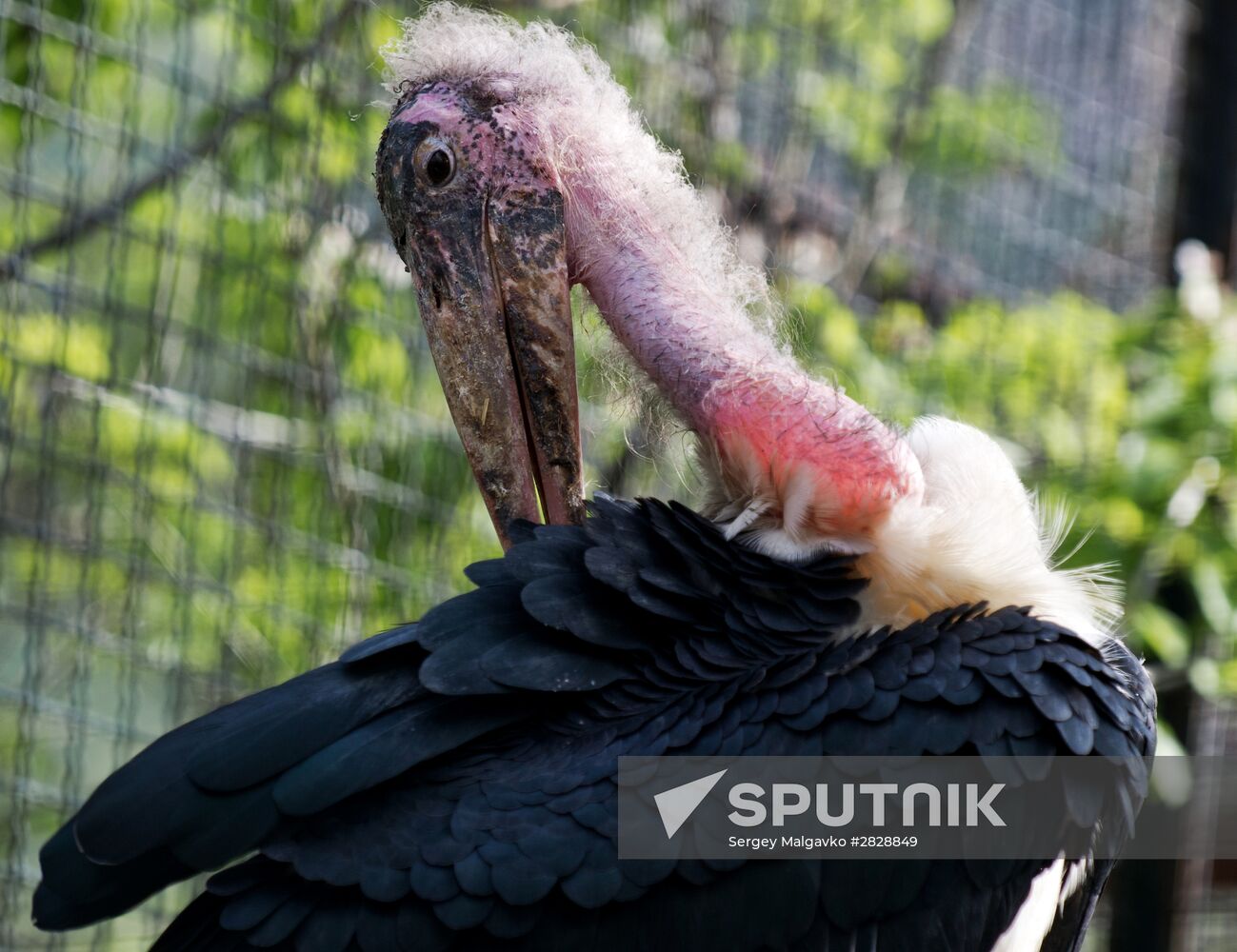 Zoo "Fairytale" opens in Crimea