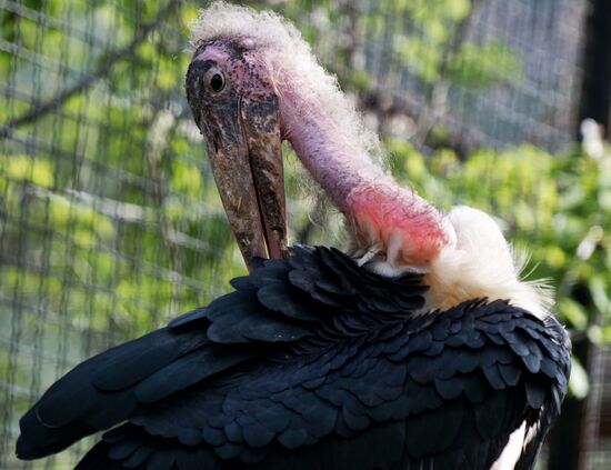 Zoo "Fairytale" opens in Crimea