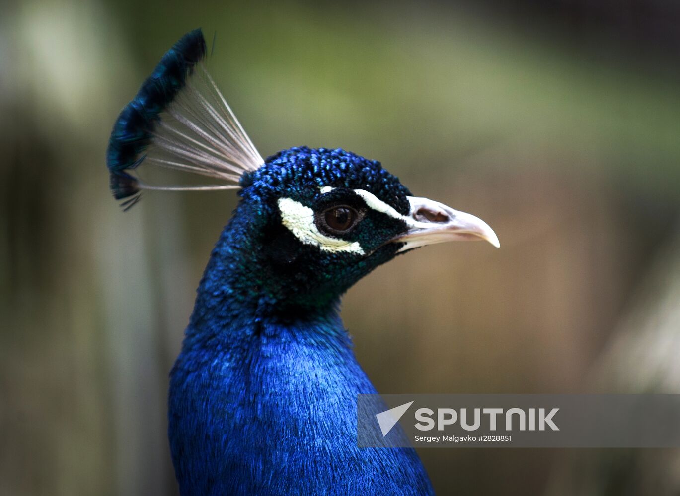 Zoo "Fairytale" opens in Crimea