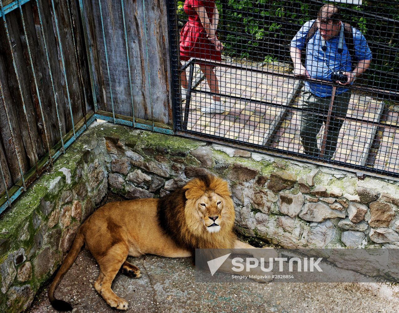 Zoo "Fairytale" opens in Crimea