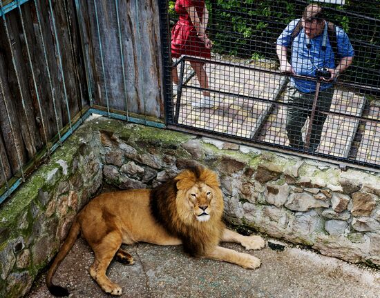 Zoo "Fairytale" opens in Crimea
