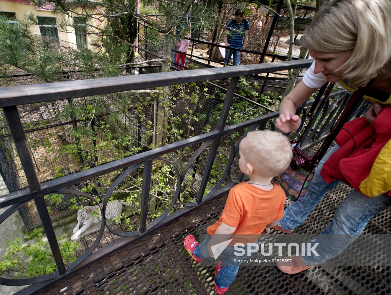 Zoo "Fairytale" opens in Crimea