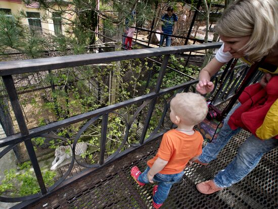 Zoo "Fairytale" opens in Crimea