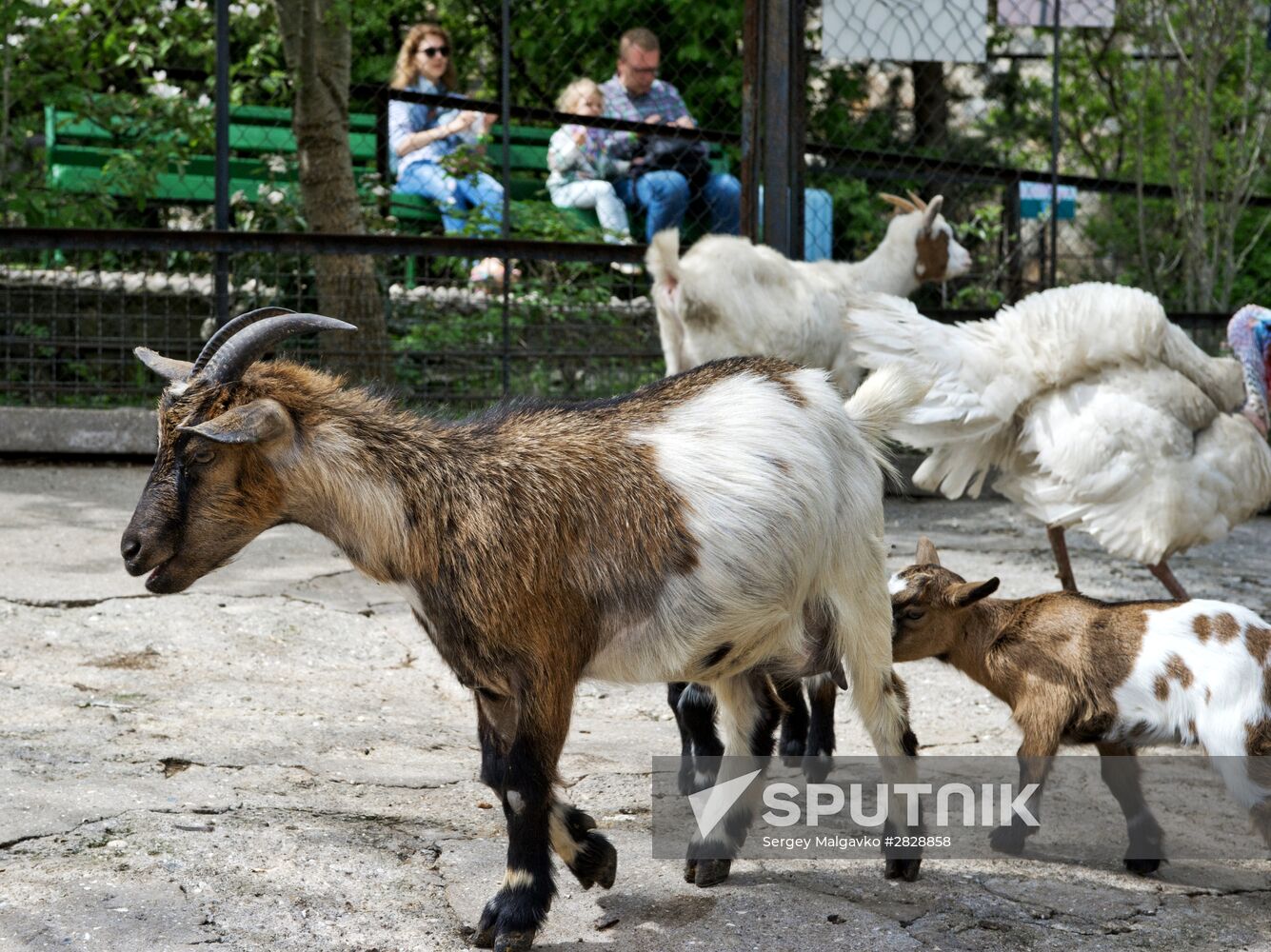 Zoo "Fairytale" opens in Crimea