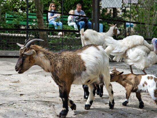 Zoo "Fairytale" opens in Crimea