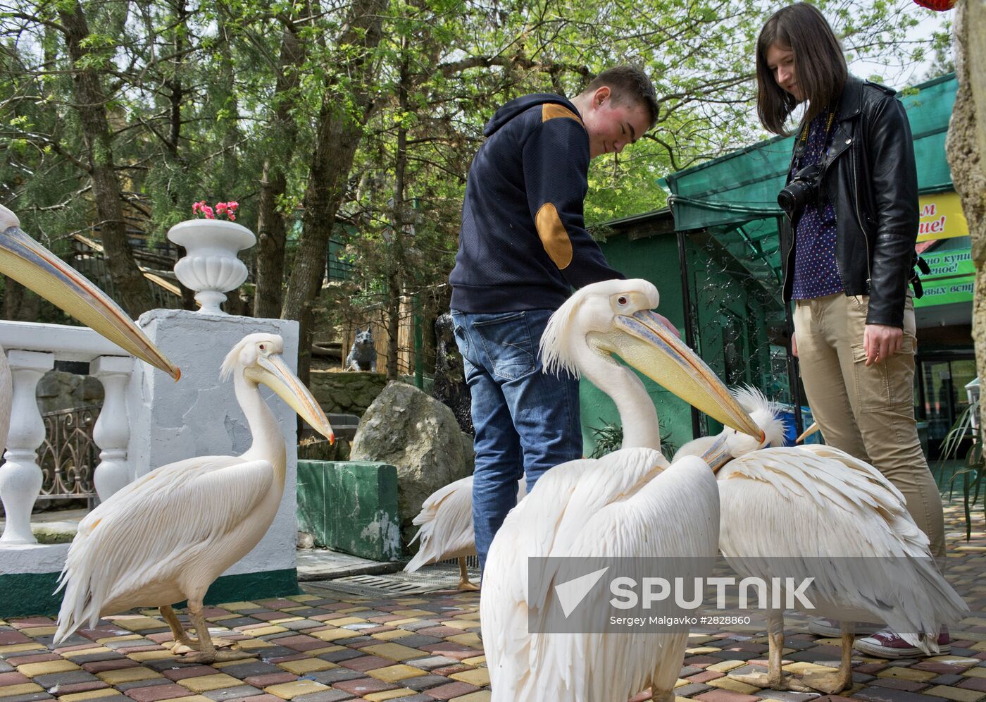 Zoo "Fairytale" opens in Crimea