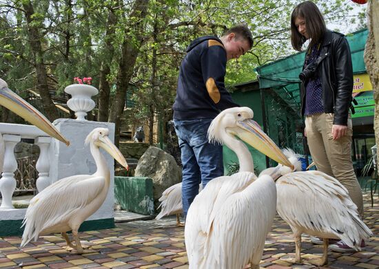 Zoo "Fairytale" opens in Crimea