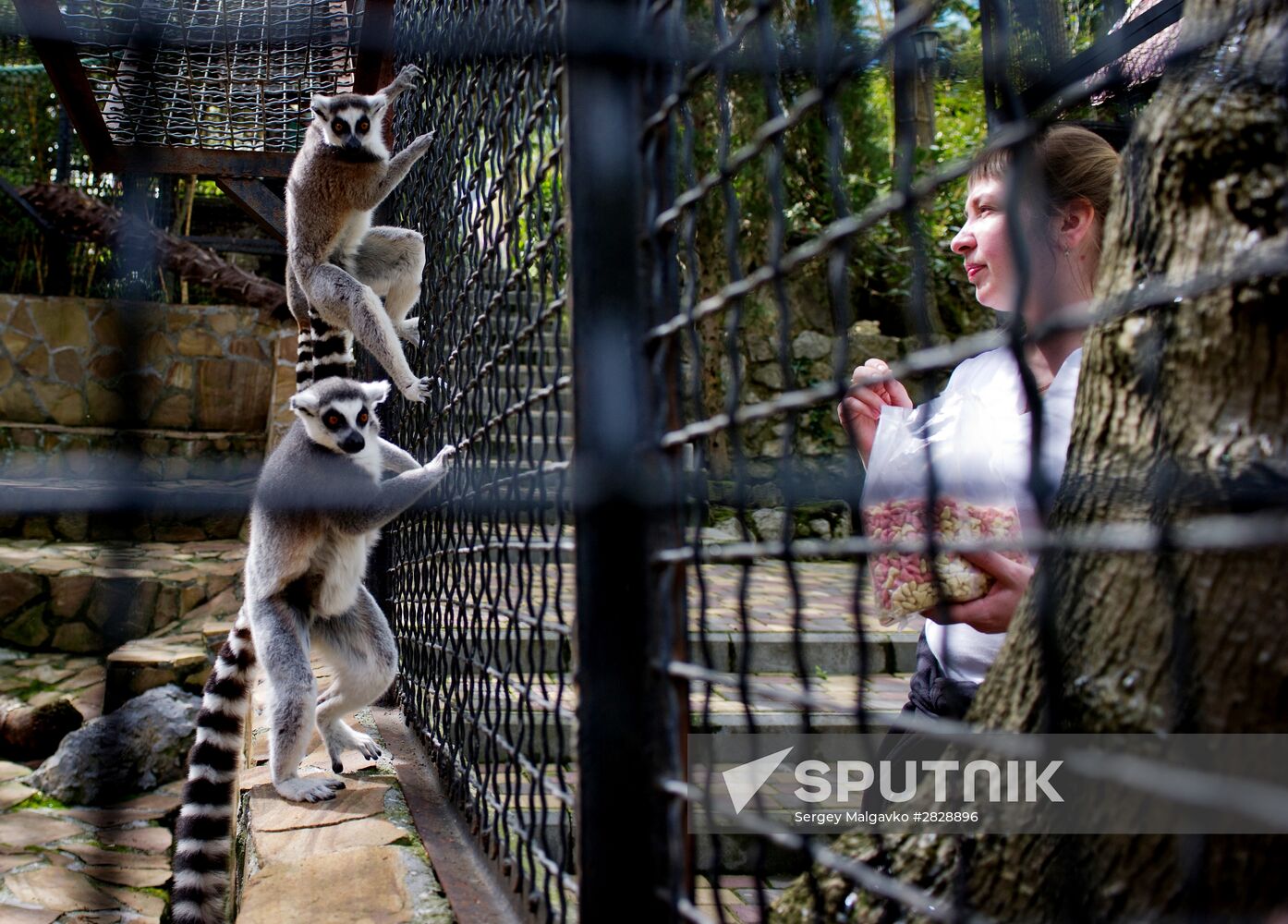 Zoo "Fairytale" opens in Crimea