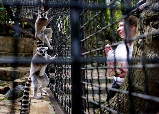 Zoo "Fairytale" opens in Crimea
