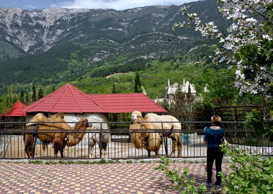 Zoo "Fairytale" opens in Crimea