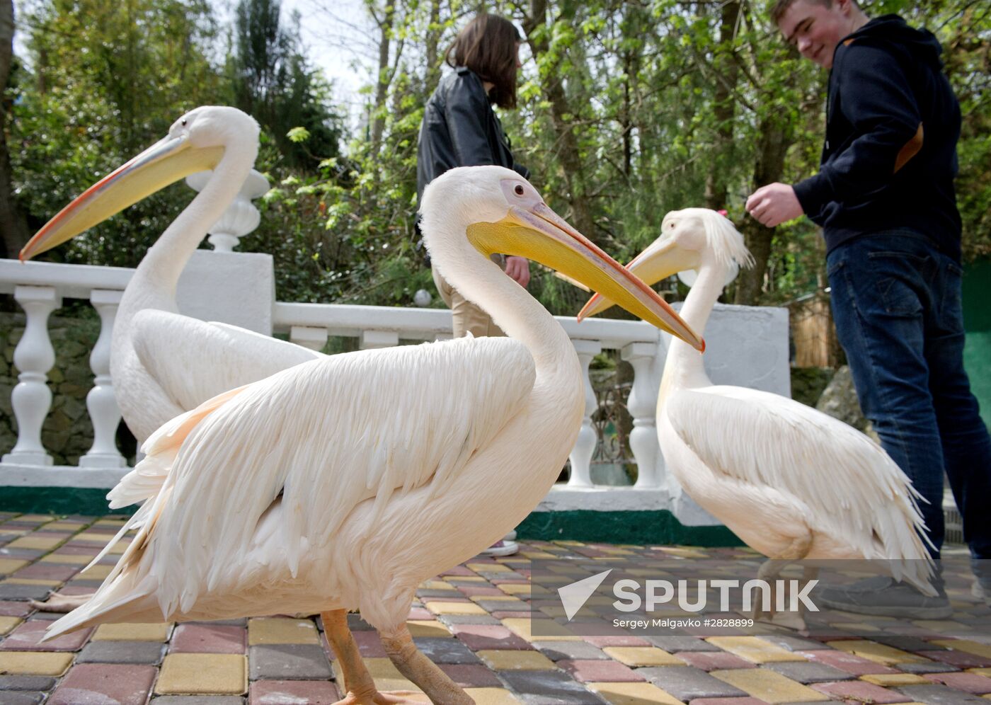 Zoo "Fairytale" opens in Crimea