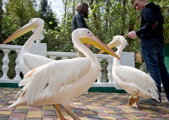 Zoo "Fairytale" opens in Crimea