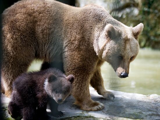 Zoo "Fairytale" opens in Crimea