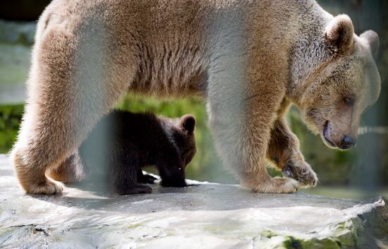 Zoo "Fairytale" opens in Crimea