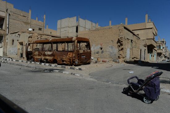 Palmyra update
