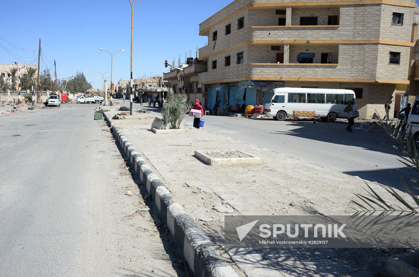 Palmyra update