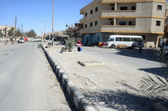 Palmyra update