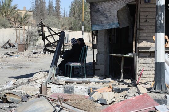 Palmyra update