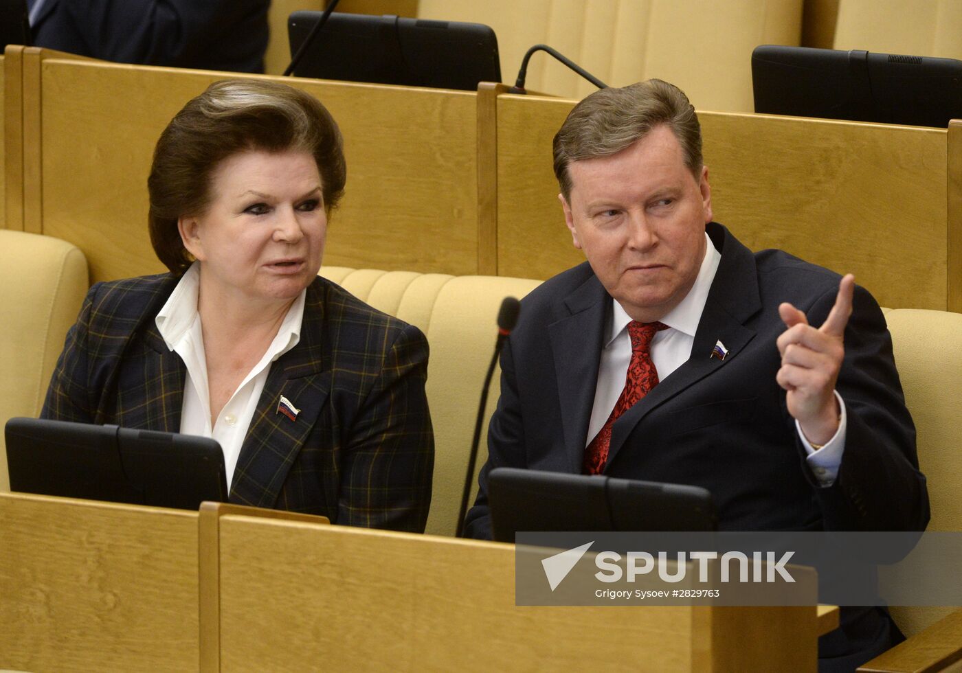 State Duma plenary meeting