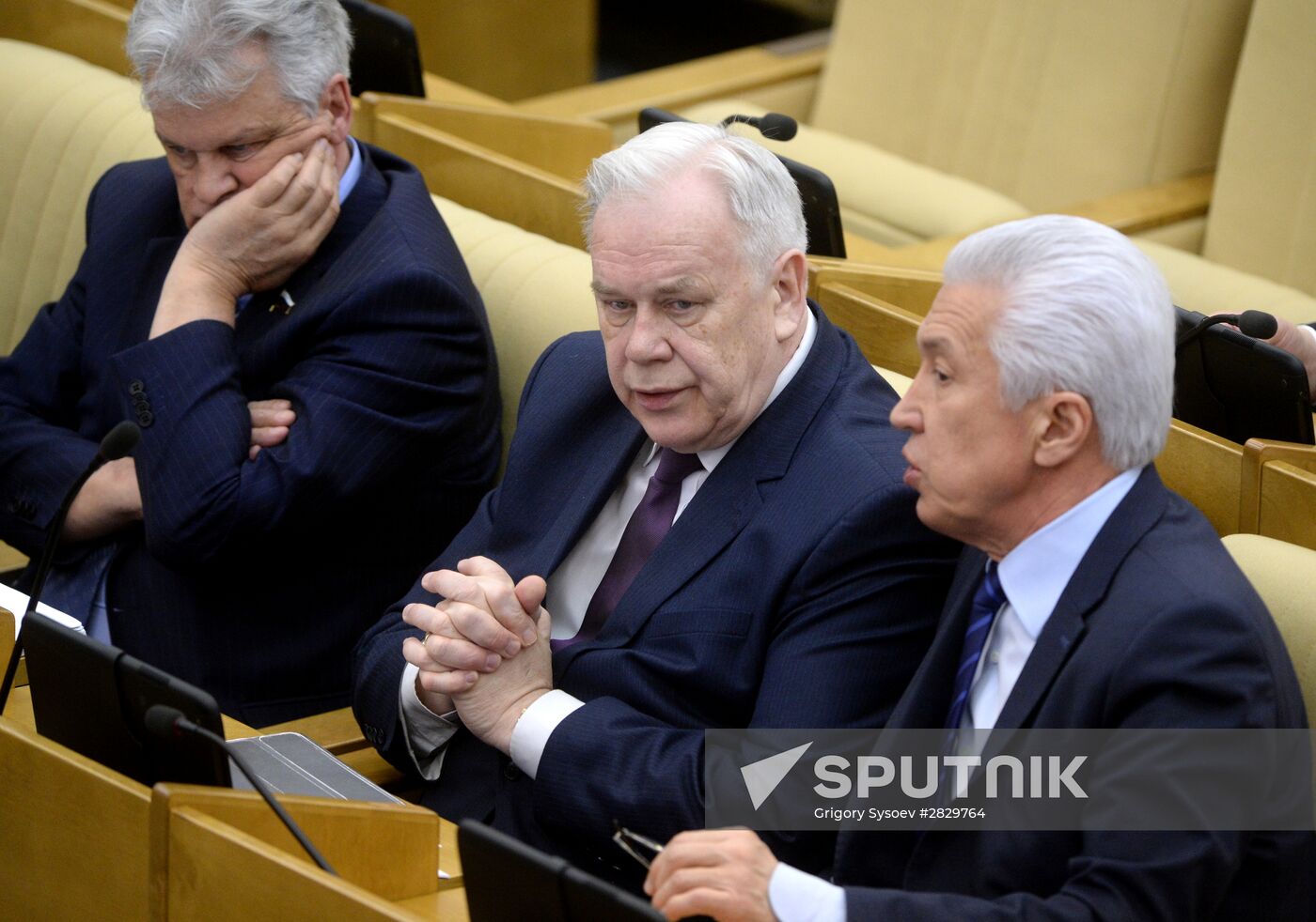 State Duma plenary meeting