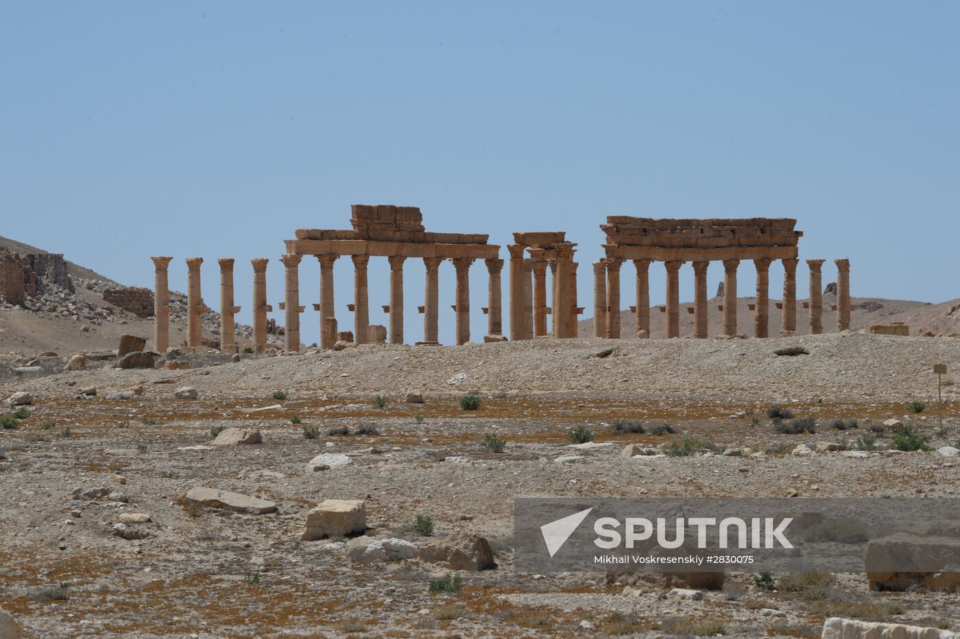 Palmyra's destroyed heritage