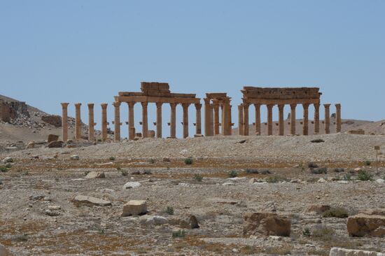 Palmyra's destroyed heritage