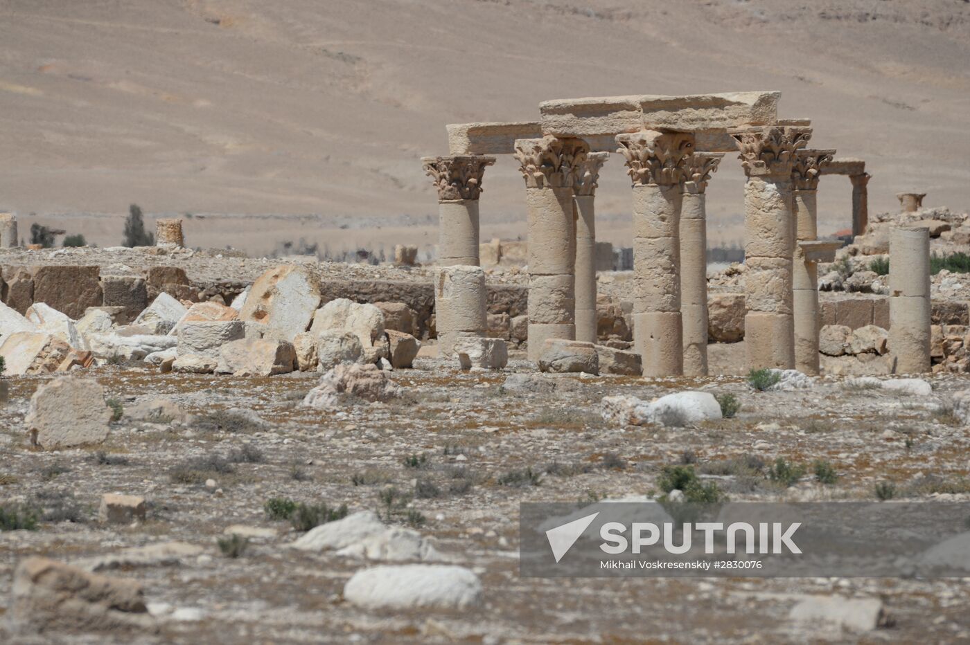 Palmyra's destroyed heritage