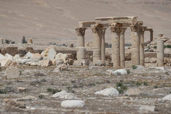 Palmyra's destroyed heritage