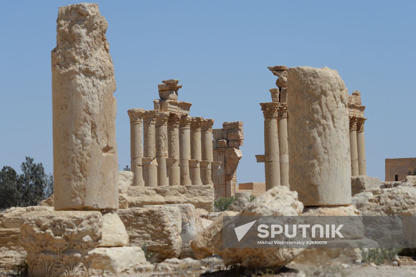 Palmyra's destroyed heritage