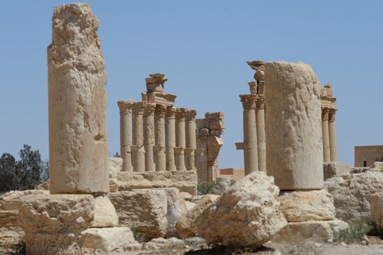Palmyra's destroyed heritage