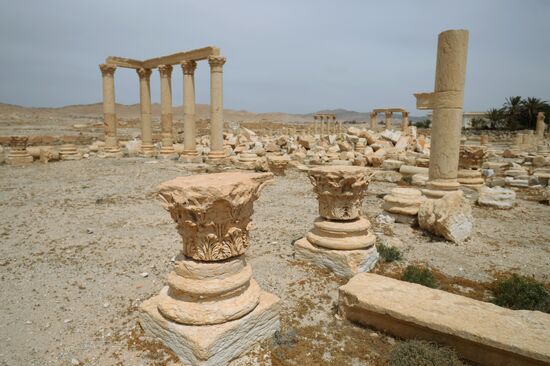 Palmyra's destroyed heritage