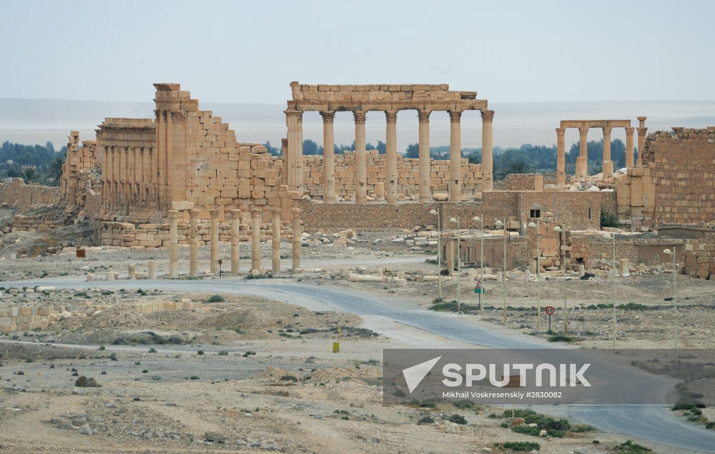 Palmyra's destroyed heritage