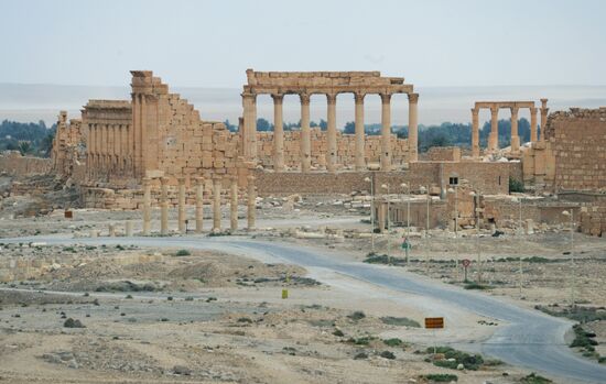 Palmyra's destroyed heritage