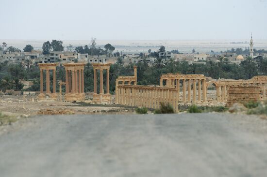 Palmyra's destroyed heritage