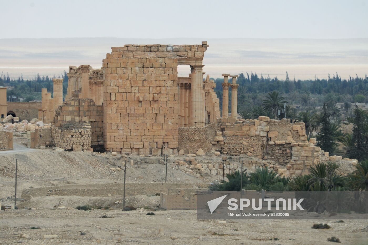 Palmyra's destroyed heritage