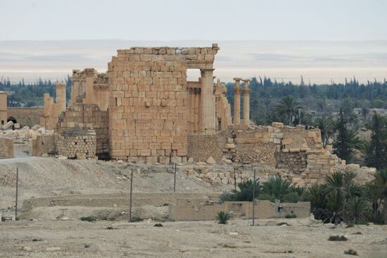 Palmyra's destroyed heritage