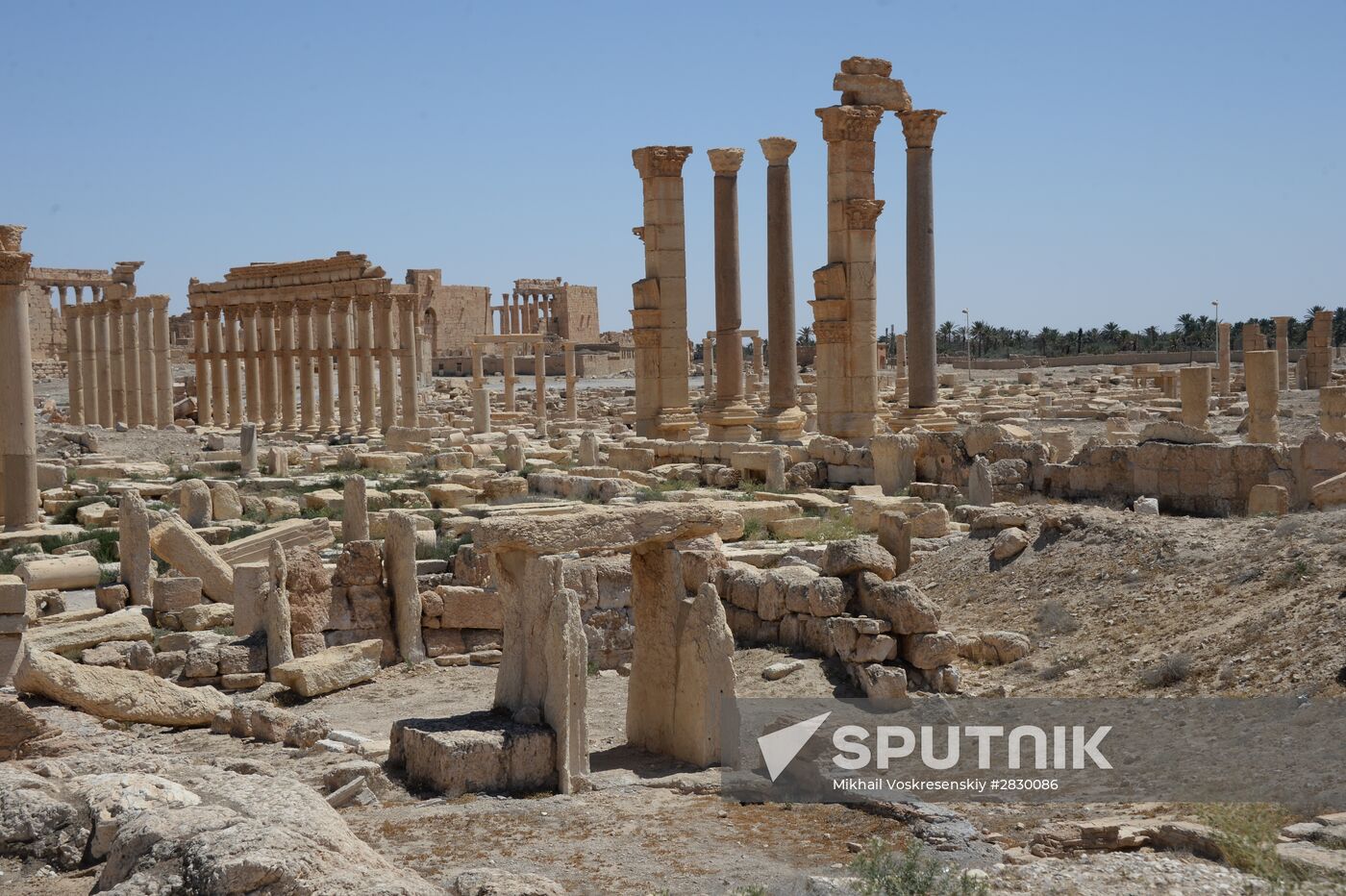 Palmyra's destroyed heritage