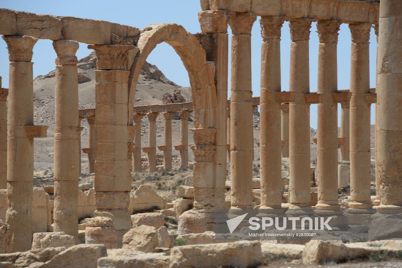 Palmyra's destroyed heritage