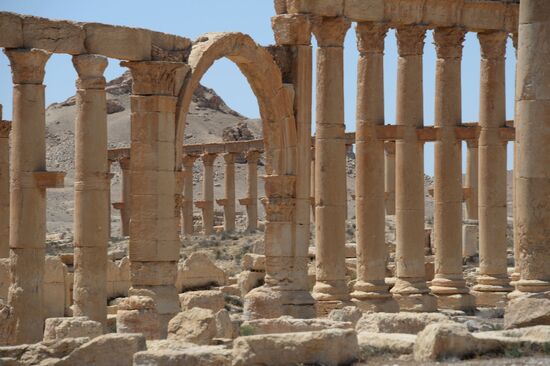Palmyra's destroyed heritage
