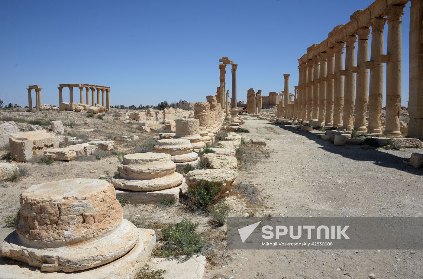 Palmyra's destroyed heritage