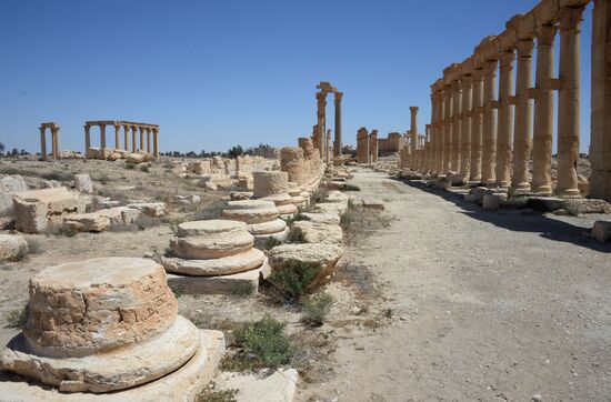 Palmyra's destroyed heritage