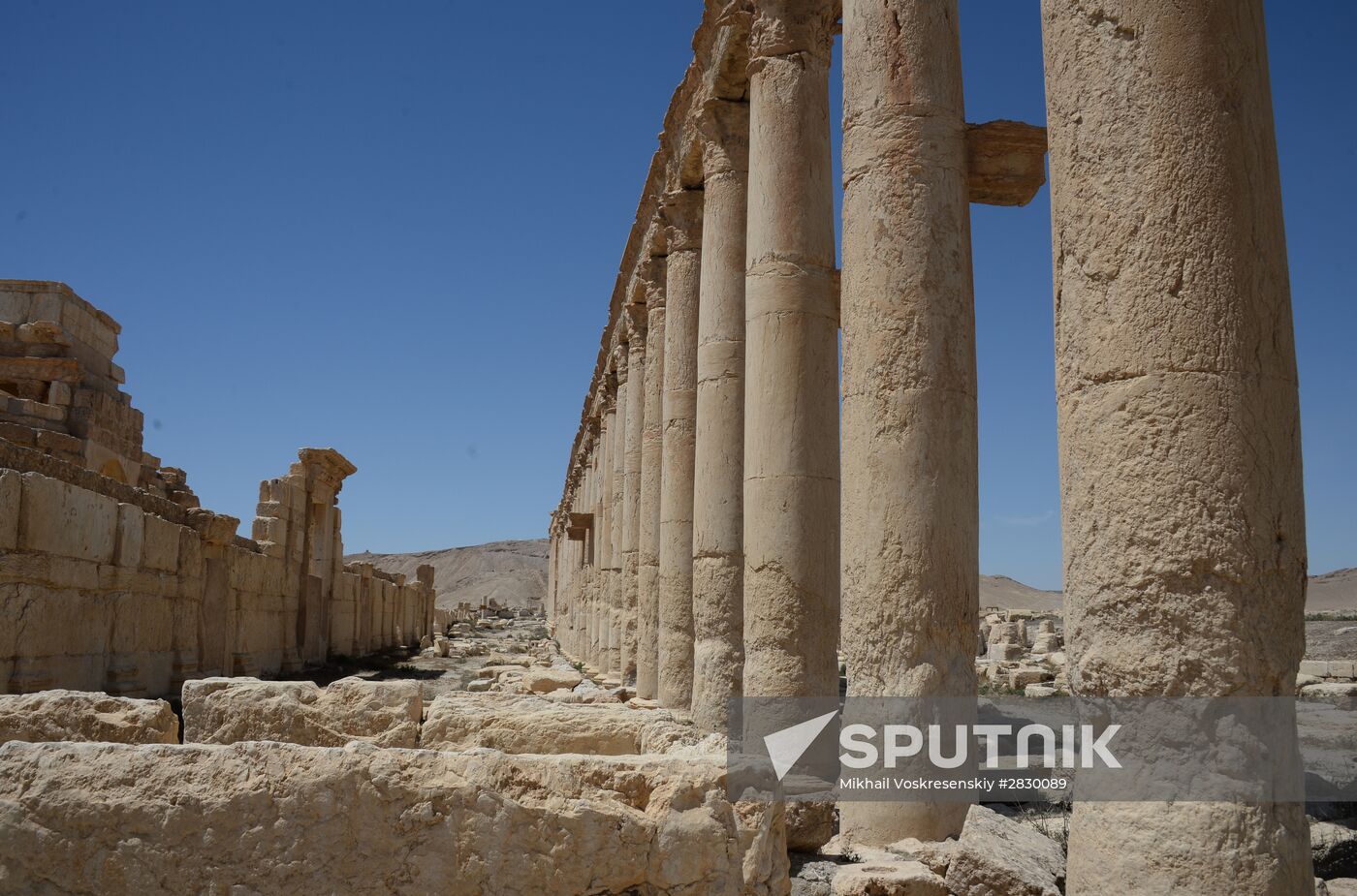 Palmyra's destroyed heritage