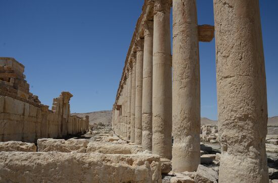 Palmyra's destroyed heritage