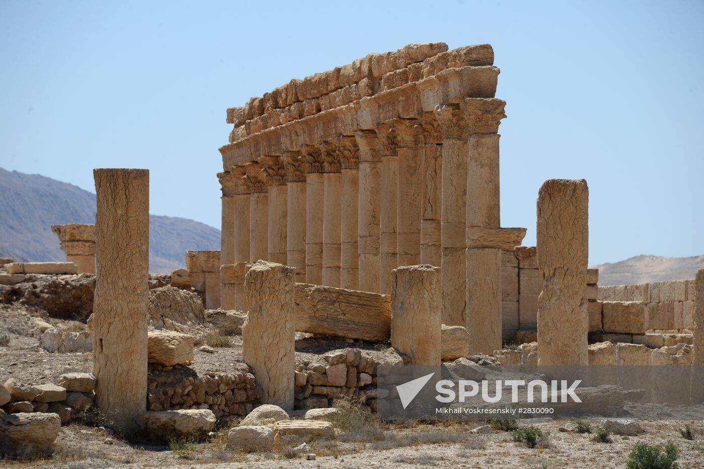 Palmyra's destroyed heritage